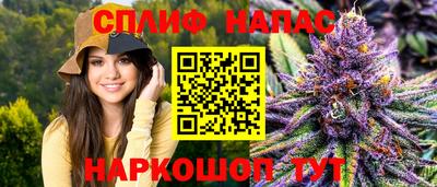 мдпв Жуковский