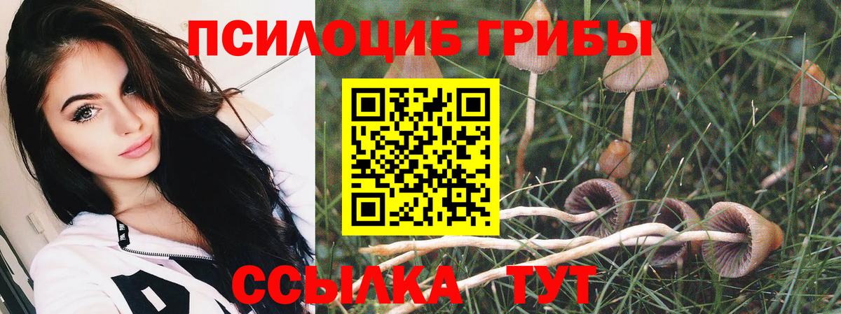 Псилоцибиновые грибы ЛСД  Вход с VPN  Мыски 
